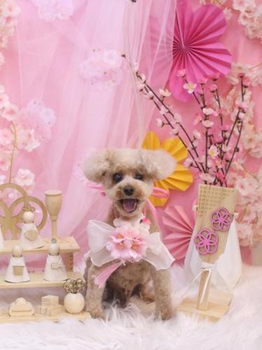 20250325クッキーくん